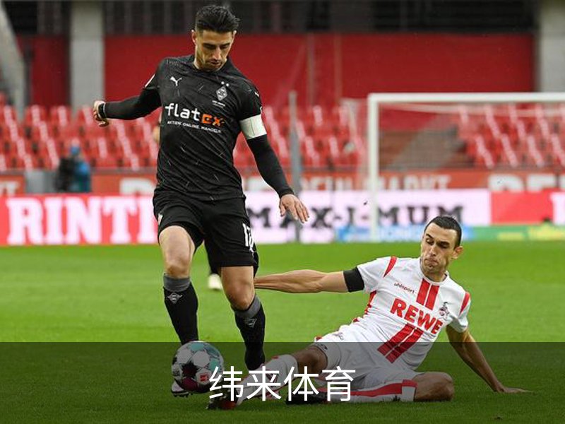 关于纬来体育